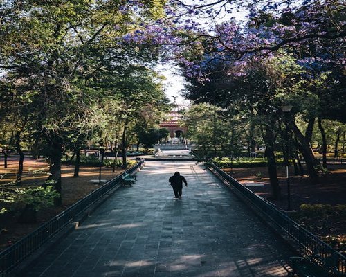 people taking a morning walk in Chapultepec park